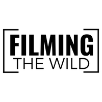 Filming the Wild
